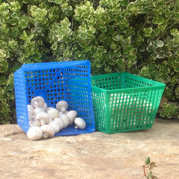 Harvest Basket